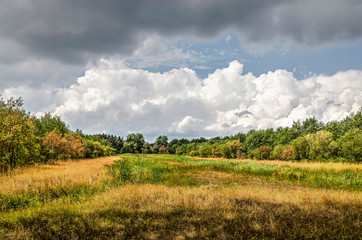 Fototapeta na wymiar Rectangular meadow surrounded by woodland near Breda, the Netherlands under a dramatic sky