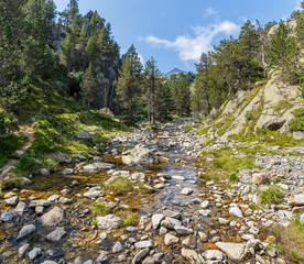 Obraz premium Creek Flowing Down a Valley in the Catalan Pyrenees