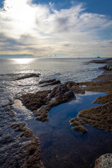 the significant landscape of Kamenjak near Medulin, Istria,Croatia