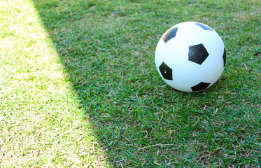 soccer ball lies on the green grass of the lawn