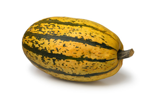  Fresh whole spaghetti squash