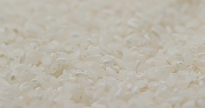 Uncooked white rice
