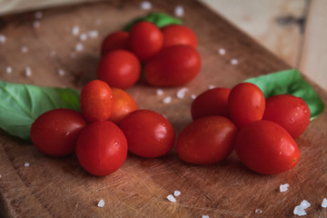 Fresh tomatoes, freshly grown with basil