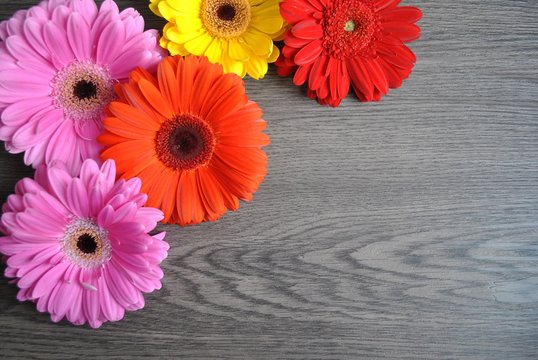 Fototapeta Kolorowe kwiaty na drewnianym tle