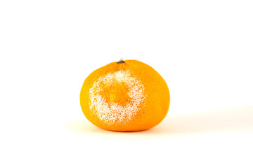 Moldy mandarin on a white background