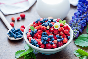 Wild strawberries and Blue Honeysuckle Berries