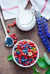 Wild strawberries and Blue Honeysuckle Berries