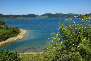 Panorama con lagho