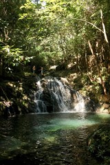 Naklejka na ściany i meble Waterfall in Belize Jungle