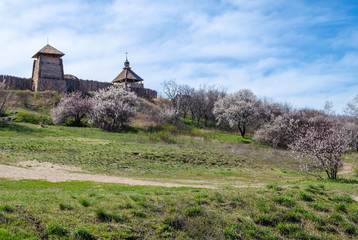Cossack, medieval fortress - fortification. Sich is called. The film Taras Bulba was filmed here. Historical complex. Located on the island of Khortytsya, in Zaporizhia, Ukraine. Spring and the trees