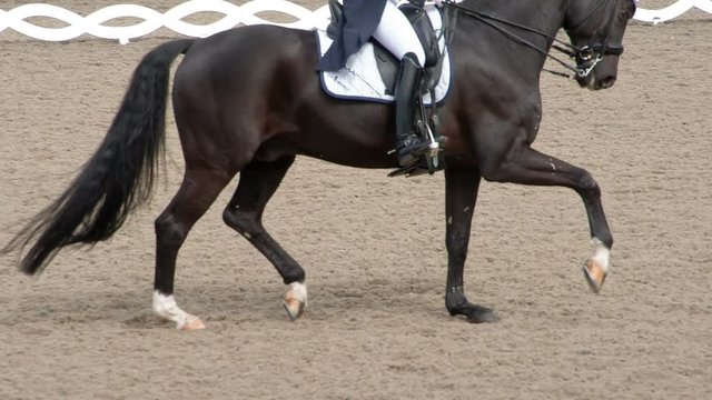 Beautiful Galloping Black Horse. A rider in a traditional costume gracefully rides a pedigreed horse. Slow Motion at a rate of 240 fps