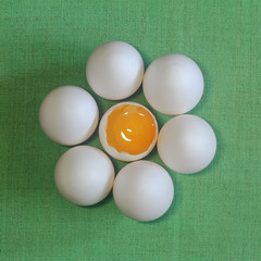 Eggs in a circle as a flower in the middle of the yolk on a green textile background