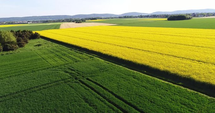 Felder im Mai aus der Luft, Deutschland