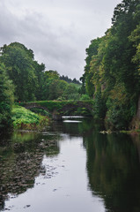 Fototapeta na wymiar An old stone bridge covered in ivy over quiet calm river in Glenarm, Northern Ireland