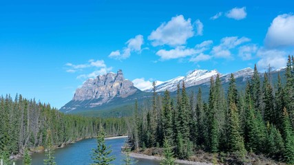 A river with pine tree forest on both banks with rocky mountain in Banf National Park, Alberta, Canada