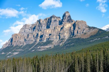 ROCKY MOUNTAIN WITH PINE TREE FOREST IN BANF NATIONAL PARK, ALBERTA, CANADA
