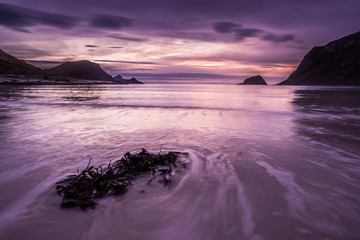 Beach with seaweed