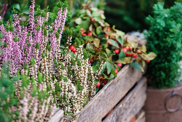 flower shop outdoor
