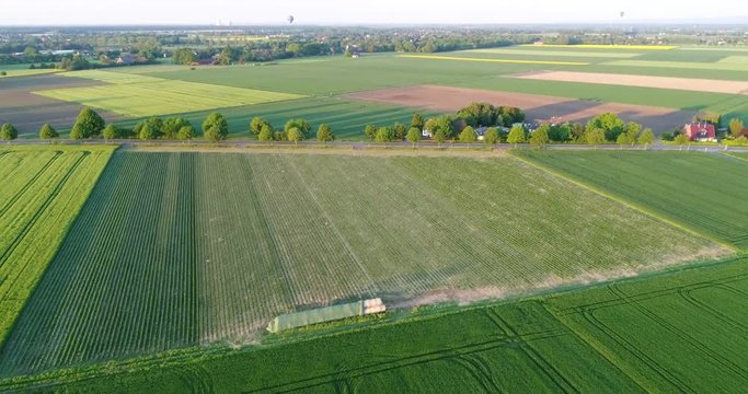 Frische grüne Felder und ländliche Gegend aus der Luft