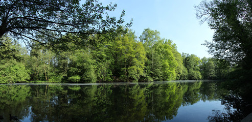 Fototapeta na wymiar Waldspiegelung im See