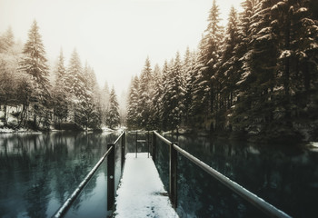 Steg am winterlichen See