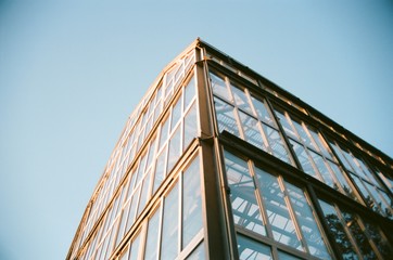 Windows of a greenhouse in a botanical garden in sunset. Orange sunlight covering metallic carcass...