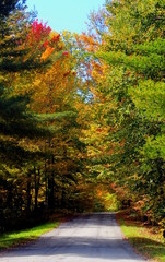 Country Road in Fall with great foliage