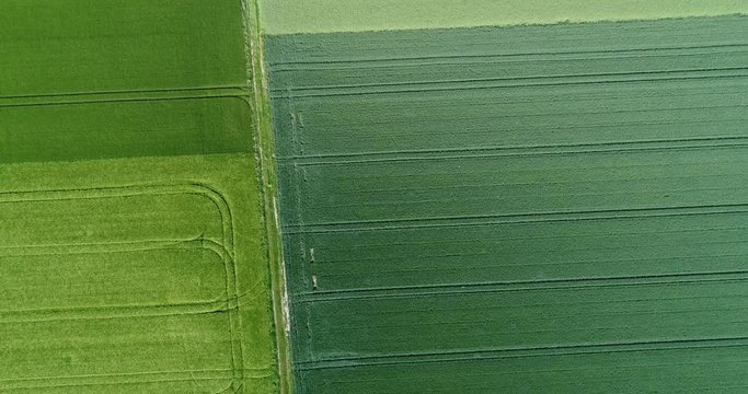Draufsicht verschiedener gr&uuml;ner Getreidefelder im Sommer, Deutschland