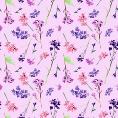 Hand drawn watercolor seamless pattern with meadow small flowers and herbs on pink background