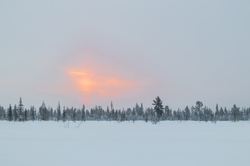 Sunrise over frozen trees in northern Sweden close to the Ice Hotel in Jukkasjärvi during winter. 