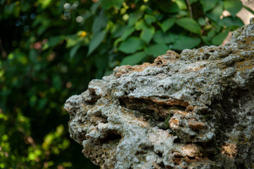 Obraz premium Grey color stones in summer park. Nature background