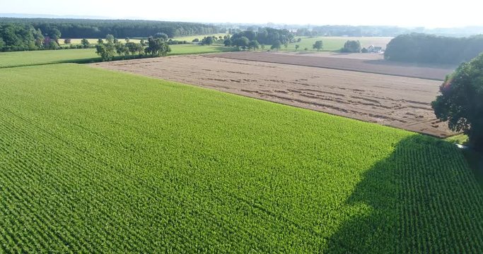Mais und Getreidefeld im &Uuml;berflug aus der Luft, Deutschland