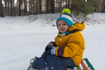 Active kid sledding in winter park in snowy weather during winter holidays. Little boy enjoying a sleigh ride. Childhood, sledging and season concept
