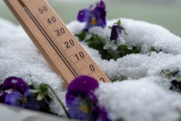 Kalter und schneereicher Winter 2019