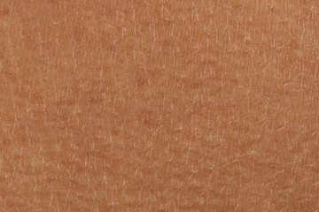 Fototapeta premium Woman skin closeup