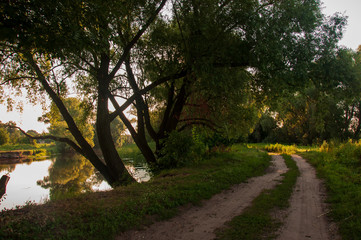 Path through green forest and little river near. Places for walk on the fresh air in summer