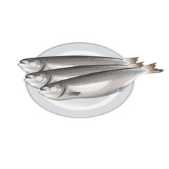 Salmon fish on the plate