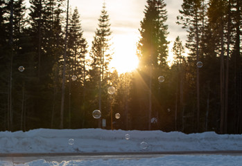 Soap bubbles floating in the air. Snow landscape with sun setting down in the background.