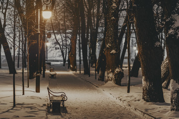 Fototapeta na wymiar Winter park with benches covered with snow in the evening