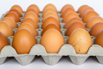 Carton paper tray with 30 brown chicken eggs, close up on white background. Selective focus, front view