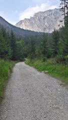 Obraz premium Grünersee - Austria