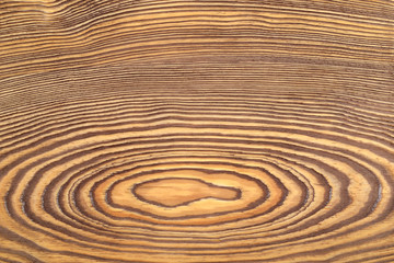 Wooden growth rings texture or background