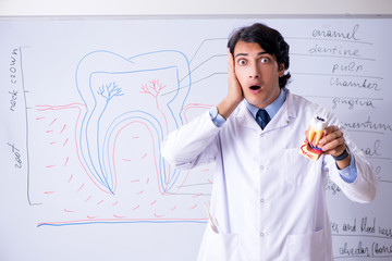 Young handsome dentist in front of the whiteboard 