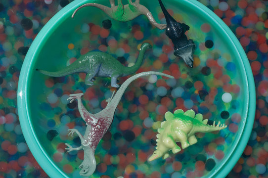 multicolored water polymer beads with toy dinosaurs 