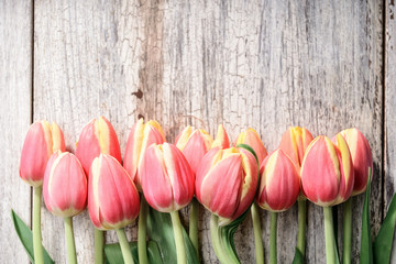 fresh tulips arranged on old wooden background