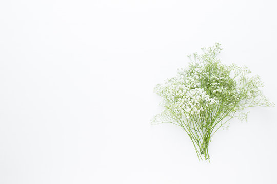 Fototapeta Flowers composition. Gypsophila flowers on pastel pink background. Flat lay, top view, copy space