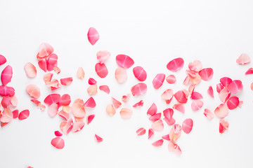 Valentine's Day. Rose flowers petals on white background. Valentines day background. Flat lay, top...