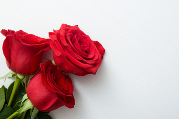 Three Red Roses on white wooden background. copy space - Valentines and 8 March Mother Women's Day concept.