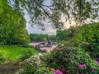 Naklejka premium Central Park, New York City in spring