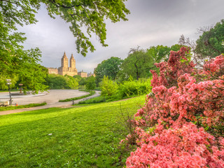 Fototapeta premium Central Park, New York City in spring